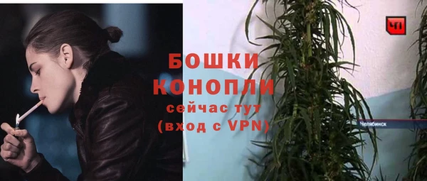 метадон Богданович