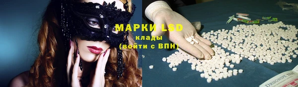 метадон Богданович