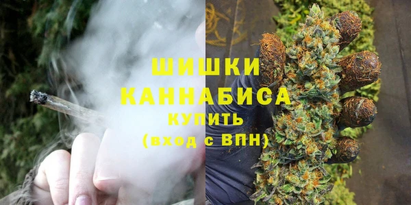 метадон Богданович