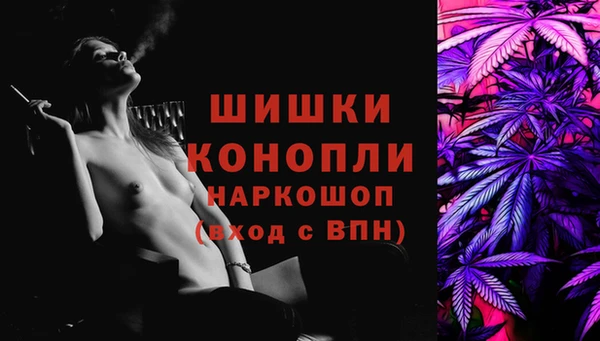 метадон Богданович