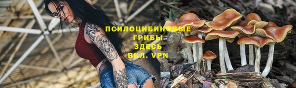 мяу мяу кристалл Богородицк