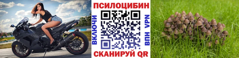 Купить где  Янаул  Галлюциногенные грибы Psilocybine cubensis 